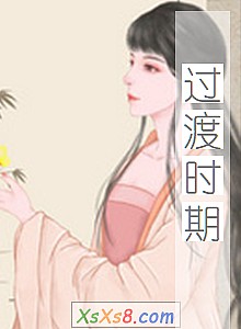 《过渡时期》小说封面