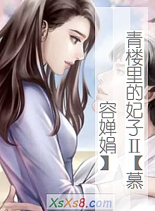 ����¥������Ӣ�Ľ��濾꡿��С˵����