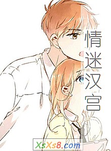 《情迷汉宫》小说封面