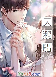 《天鹅船》小说封面