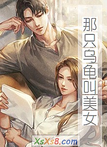 《那只乌龟叫美女》小说封面