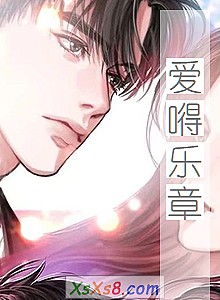 《爱嘚乐章》小说封面