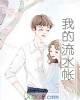 《我的流水帐》小说封面