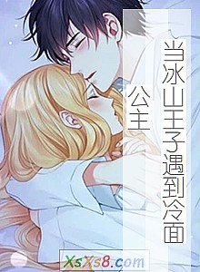 《当冰山王子遇到冷面公主》小说封面