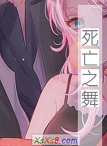 《死亡之舞》小说封面