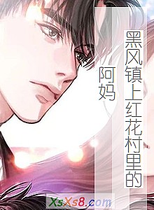 《黑风镇上红花村里的阿妈》小说封面
