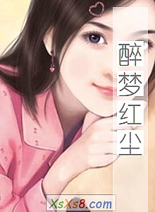 《醉梦红尘》小说封面