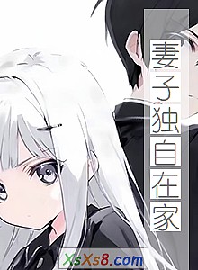 《妻子独自在家》小说封面