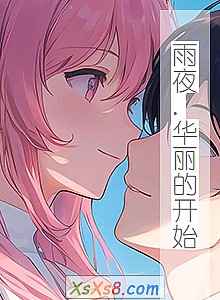 《雨夜.华丽的开始》小说封面