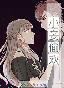 《小妾偷欢》小说封面