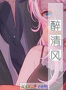 《醉清风》小说封面
