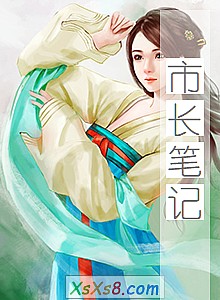 《市长笔记》小说封面