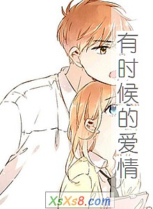 《有时候的爱情》小说封面