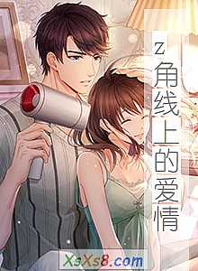 《z角线上的爱情》小说封面