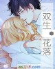 《双生·花落》小说封面
