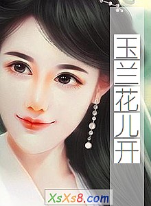 《玉兰花儿开》小说封面