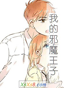 《我的邪魔王子》小说封面