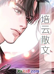 《培云散文》小说封面