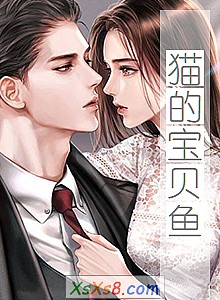 《猫的宝贝鱼》小说封面