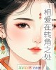 《相爱在转角之处》小说封面