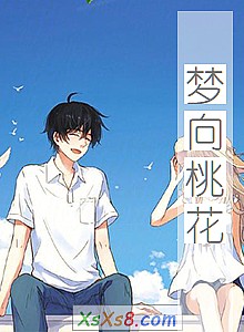 《梦向桃花》小说封面