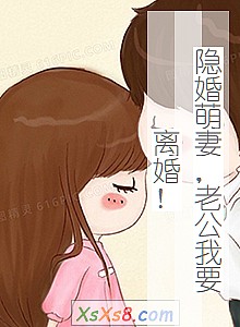 《隐婚萌妻,老公我要离婚!》小说封面