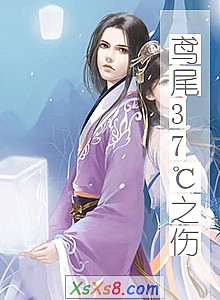 《鸢尾37℃之伤》小说封面