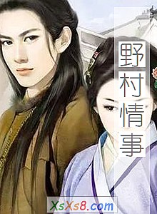 《野村情事》小说封面