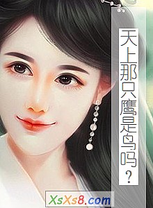 《天上那只鹰是鸟吗?》小说封面