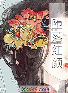 《堕落红颜》小说封面