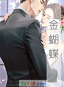 《金蝴蝶》小说封面