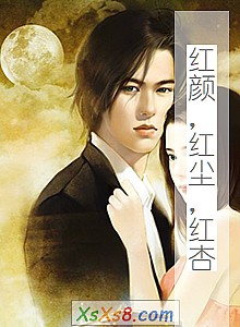 《红颜,红尘,红杏》小说封面