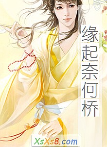 《缘起奈何桥》小说封面