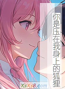 《你是压在我身上的狐狸》小说封面