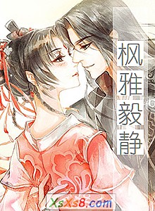 《枫雅毅静》小说封面