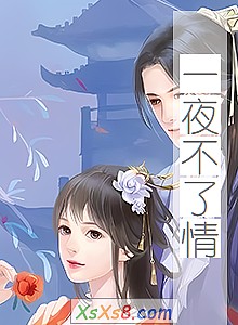 《一夜不了情》小说封面