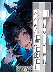 《『Who's Whose/谁是谁的谁』》小说封面