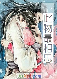 《此物最相思》小说封面