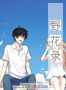 《野花录》小说封面