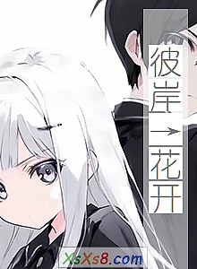 《彼岸→花开》小说封面