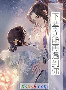 《下辈子能再遇到你》小说封面