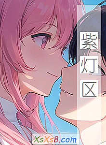 《紫灯区》小说封面