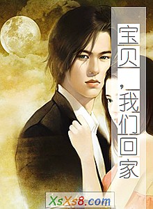 《宝贝,我们回家》小说封面