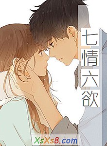 ������������С˵����