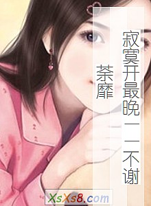 《寂寞开最晚——不谢荼靡》小说封面