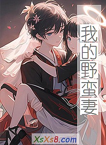 《我的野蛮妻》小说封面