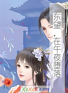 《东望,在午夜堕落》小说封面