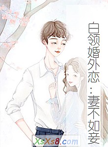 《白领婚外恋:妻不如妾》小说封面