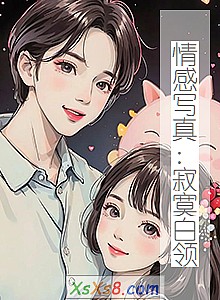 《情感写真:寂寞白领》小说封面