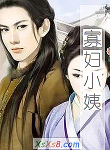 《寡妇小姨》小说封面